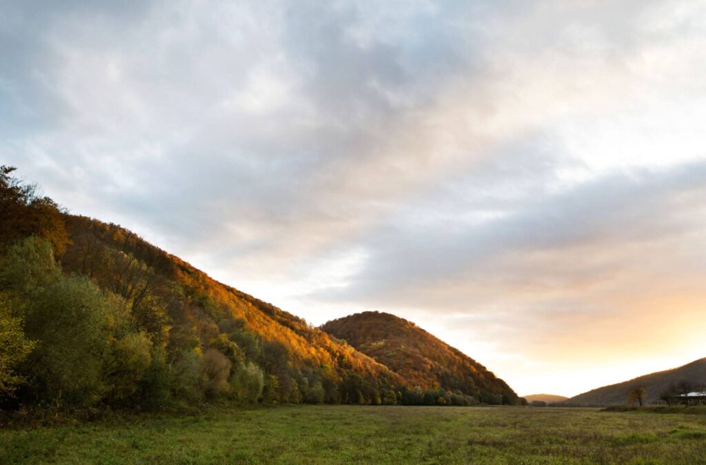 Understanding Alcoholism Within Families