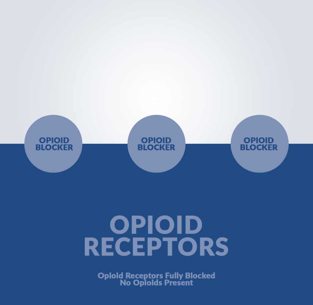 Opioid Receptor Fully Blocked Free of Opioids