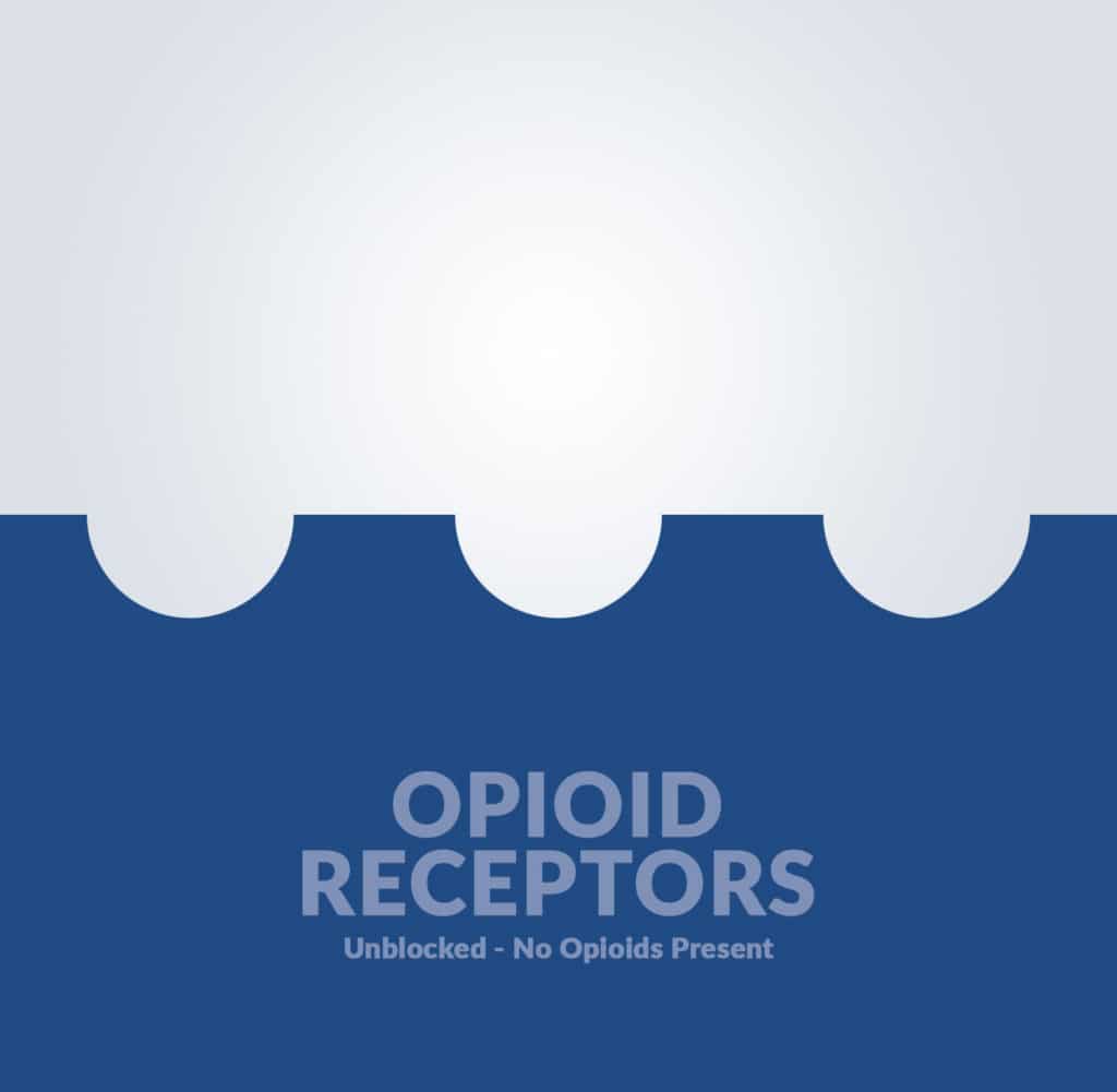Opioid Receptor Unblocked Free of Opioids