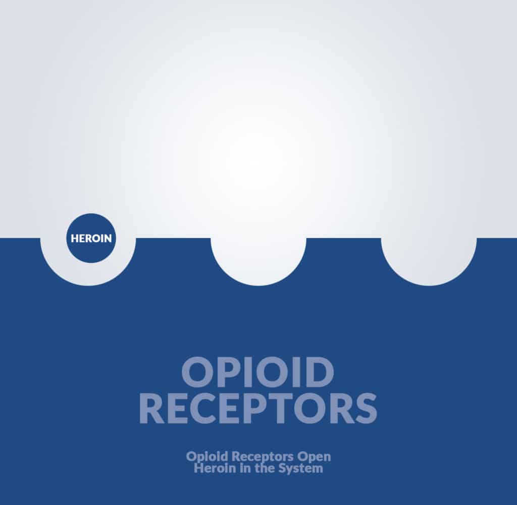 Opioid Receptor Unblocked Heroin Present