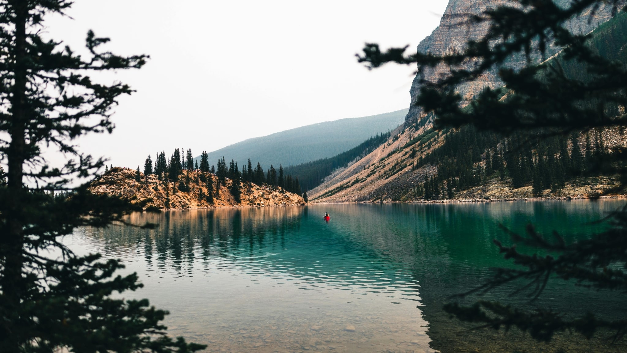 is an intervention betrayal?